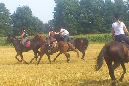 DSC_3761.JPG