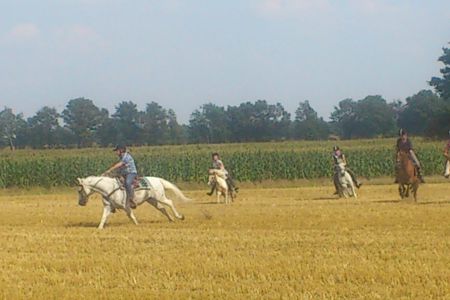 15-DSC_3775.JPG