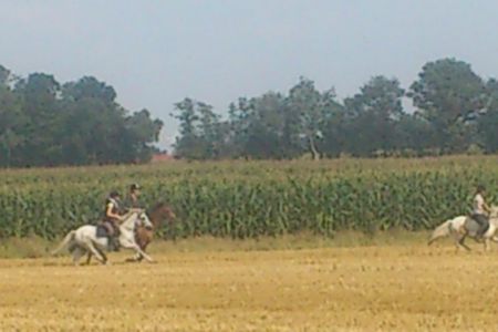 DSC_3794.JPG